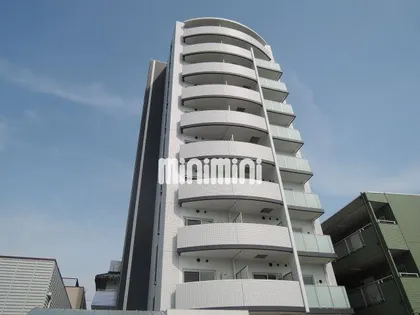 ロイヤルピジョンライズの画像