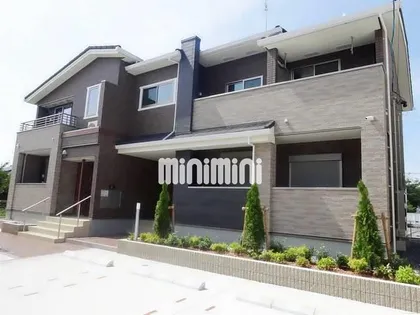 コスモ ビリンの画像