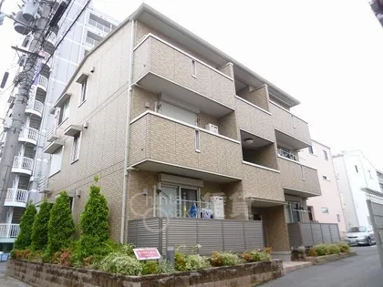 マンマ ミーアの画像