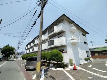 センチュリーシュンエーの画像