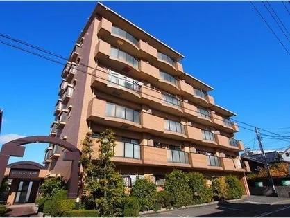 セントラルハイツ星の門の画像