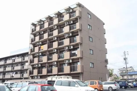 CEDAR FIELDの画像