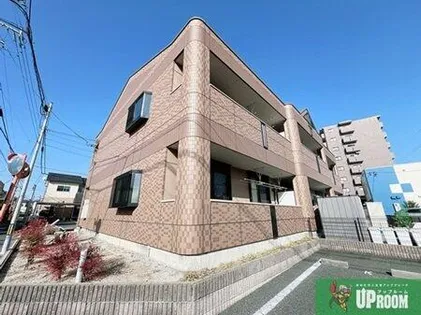 アイリスの画像