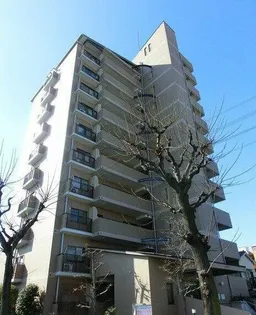 プロムナード住吉【3階】の外観