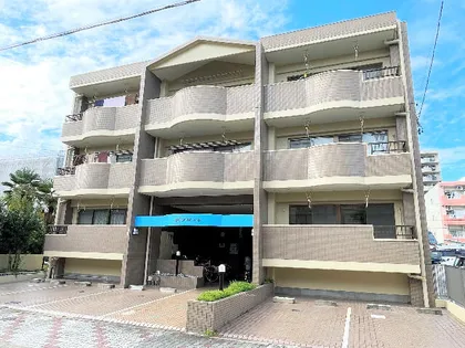 レイソル六番の画像