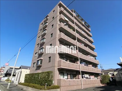 ウッドペッカーの画像