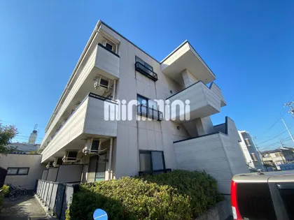 パラダイスオブドリームの画像