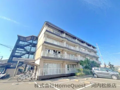 清信ハイツの画像