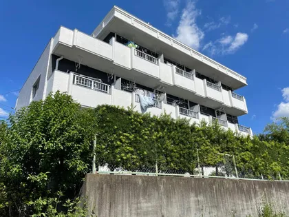 カルボンヌ音聞山の画像