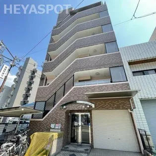 ライジング泉の画像