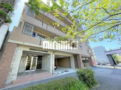 ステラヒルズ【4階】の外観