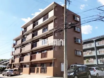 フィレンツェ高針の画像