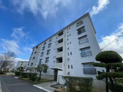 富田第二住宅 71号棟の画像