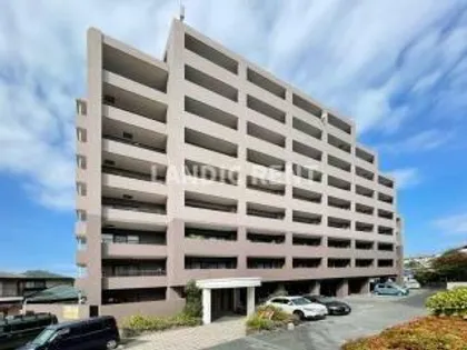 グリチーネの画像