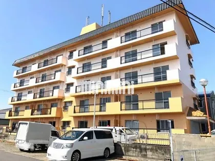 SARASOTA VITAの画像