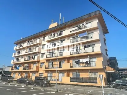 SARASOTA VITAの画像