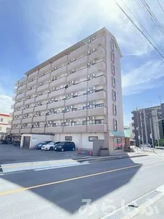 ブロンズ森島の画像