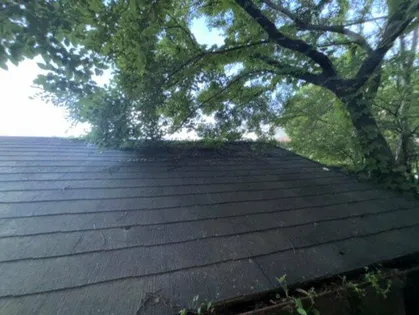 土居アパート【2階】のその他画像