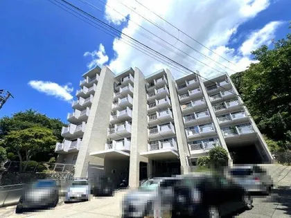 岡本エクセルの画像