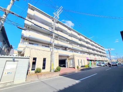 クレール白鳩の画像