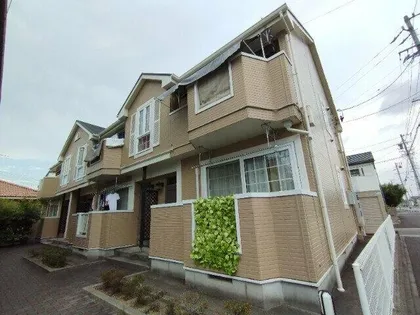 サンセットタウニーの画像