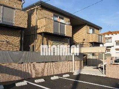 グリーンシード Cの画像