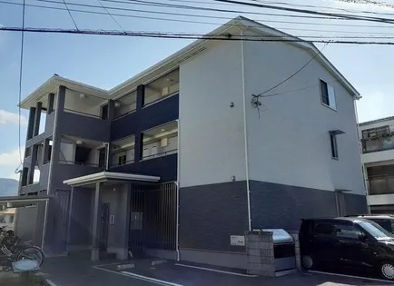 ル ソレイユIIの画像