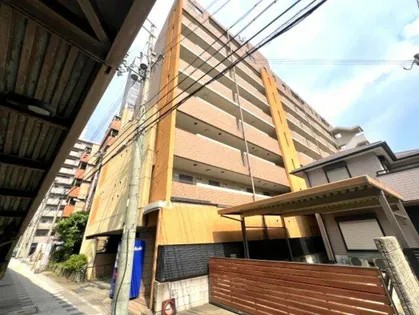 パレオーギの画像