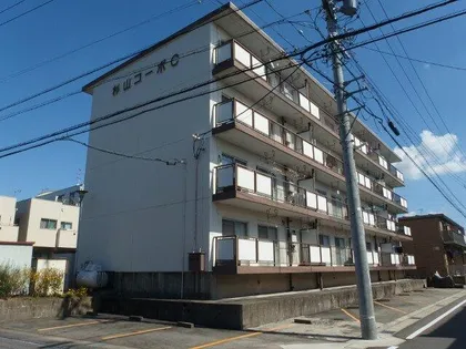 杉山コーポC【302号室】の外観