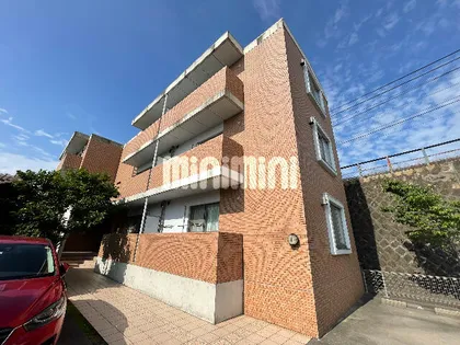 ラズベリー ショコラの画像