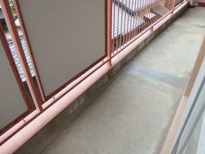 天野ハイツ【302号室】の内装