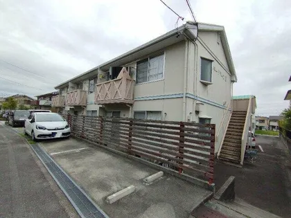 エバーグリーンBの画像