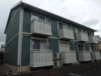 アミエーラの画像