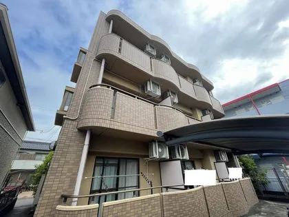 クレールコスモスの画像