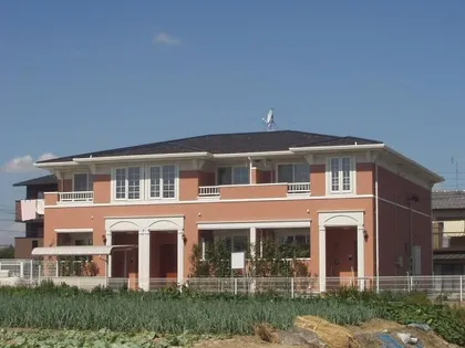 プリムローズの画像