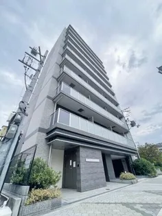 大阪府大阪市平野区平野東3丁目【マンション】の外観