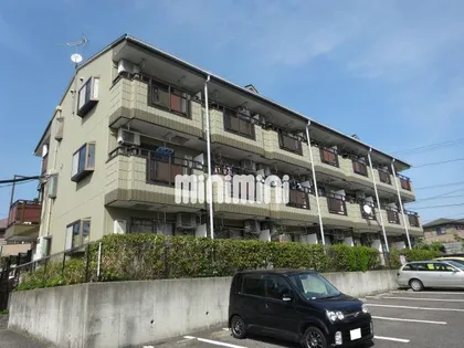 マメゾンT Sの画像
