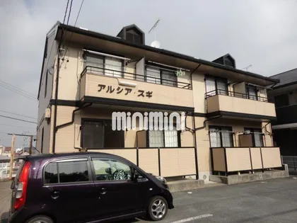 アルシア スギの画像