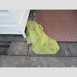 富士ハイツ【4階】のその他画像