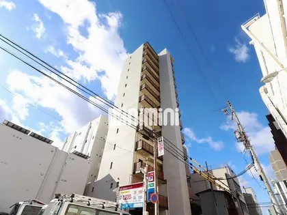 PULCHRA IMAIKEの画像