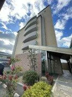 ヴィブレムライの画像