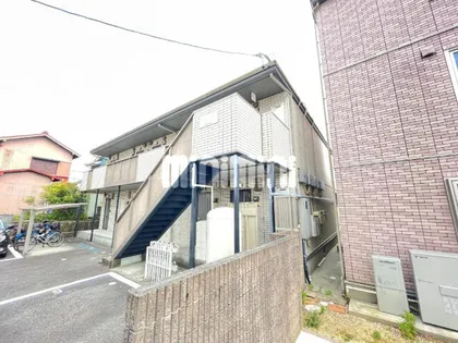 レトア タンポポの画像