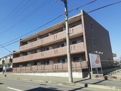 グリーンフォレストの画像
