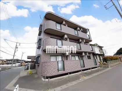 スプリーム寺本の画像