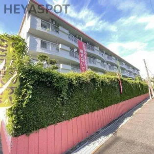 池下住宅【3階】の外観