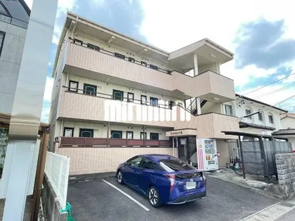 プリマベーラの画像