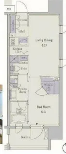 パークアクシス心斎橋【12階】の間取り