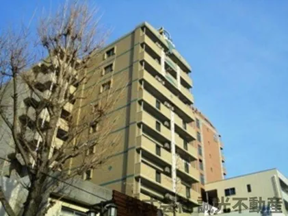 エース五番館の画像