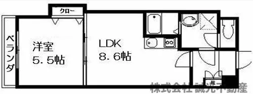 エース五番館【1007号室】の間取り