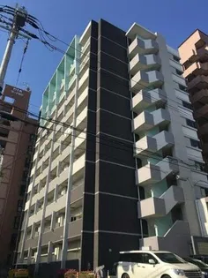 エトワールフィラントの画像